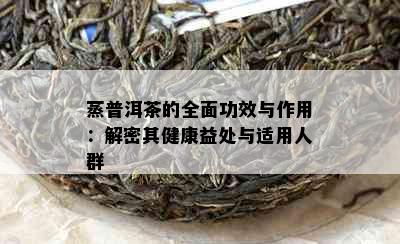 蒸普洱茶的全面功效与作用：解密其健康益处与适用人群