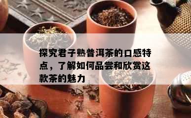 探究君子熟普洱茶的口感特点，了解如何品尝和欣赏这款茶的魅力