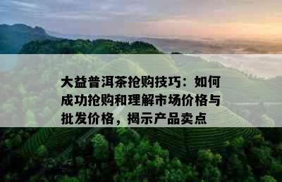 大益普洱茶抢购技巧：如何成功抢购和理解市场价格与批发价格，揭示产品卖点