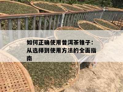 如何正确使用普洱茶锥子：从选择到使用方法的全面指南