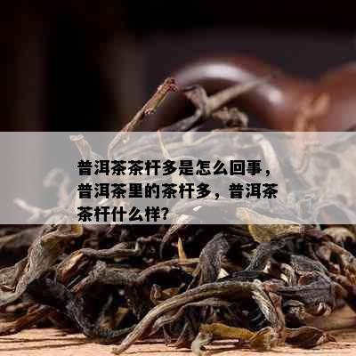 普洱茶茶杆多是怎么回事，普洱茶里的茶杆多，普洱茶茶杆什么样？