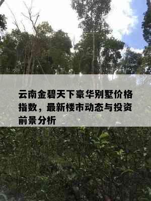 云南金碧天下豪华别墅价格指数，最新楼市动态与投资前景分析