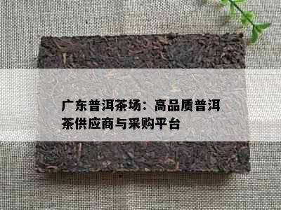 广东普洱茶场：高品质普洱茶供应商与采购平台