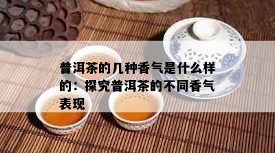 普洱茶的几种香气是什么样的：探究普洱茶的不同香气表现