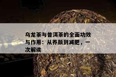 乌龙茶与普洱茶的全面功效与作用：从养颜到减肥，一次解读