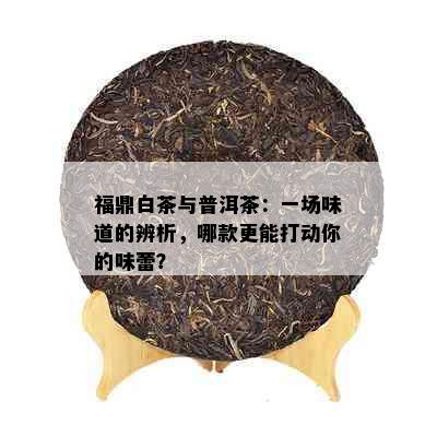 福鼎白茶与普洱茶：一场味道的辨析，哪款更能打动你的味蕾？