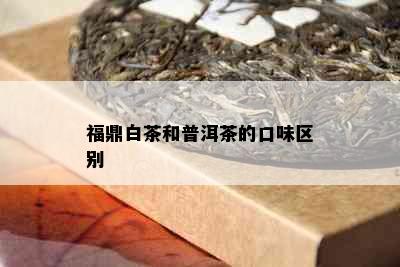 福鼎白茶和普洱茶的口味区别