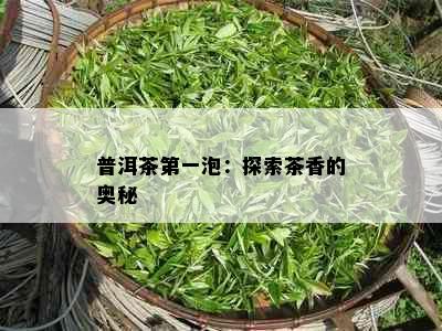 普洱茶之一泡：探索茶香的奥秘