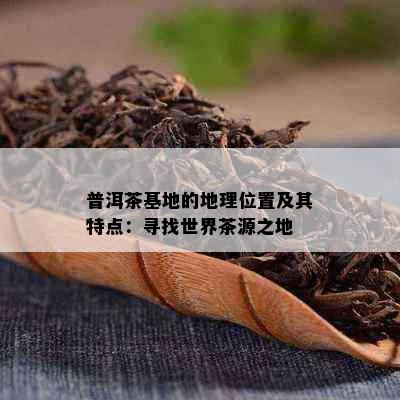 普洱茶基地的地理位置及其特点：寻找世界茶源之地