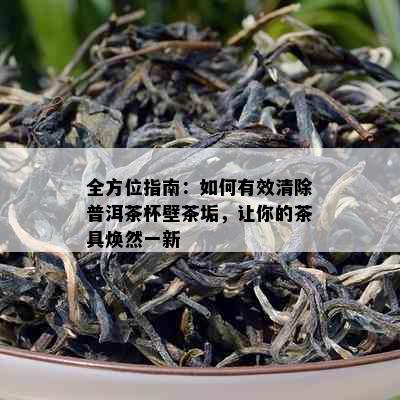 全方位指南：如何有效清除普洱茶杯壁茶垢，让你的茶具焕然一新