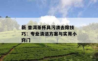 新 普洱茶杯具污渍去除技巧：专业清洁方案与实用小窍门