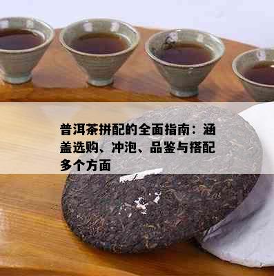 普洱茶拼配的全面指南：涵盖选购、冲泡、品鉴与搭配多个方面