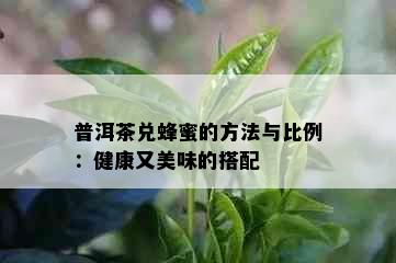 普洱茶兑蜂蜜的方法与比例：健康又美味的搭配