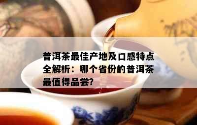 普洱茶更佳产地及口感特点全解析：哪个省份的普洱茶最值得品尝？