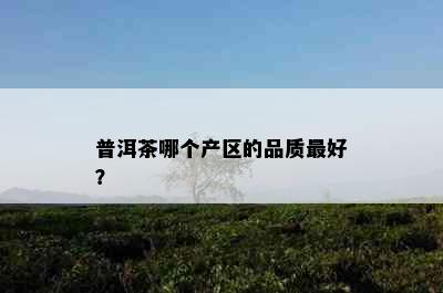 普洱茶哪个产区的品质更好？