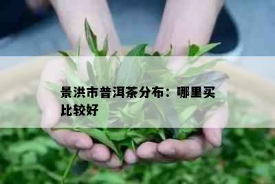 景洪市普洱茶分布：哪里买比较好