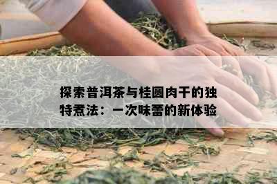 探索普洱茶与桂圆肉干的独特煮法：一次味蕾的新体验