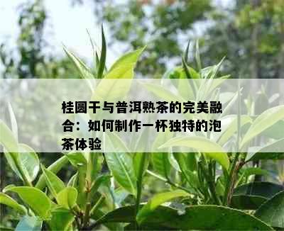 桂圆干与普洱熟茶的完美融合：如何制作一杯独特的泡茶体验