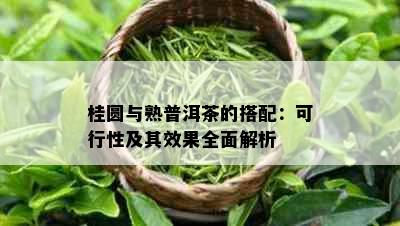 桂圆与熟普洱茶的搭配：可行性及其效果全面解析