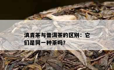 滇青茶与普洱茶的区别：它们是同一种茶吗？