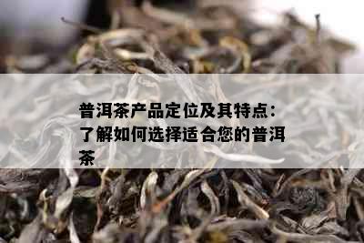 普洱茶产品定位及其特点：了解如何选择适合您的普洱茶