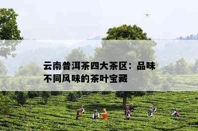 云南普洱茶四大茶区：品味不同风味的茶叶宝藏