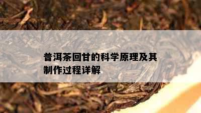 普洱茶回甘的科学原理及其制作过程详解