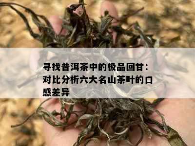 寻找普洱茶中的极品回甘：对比分析六大名山茶叶的口感差异