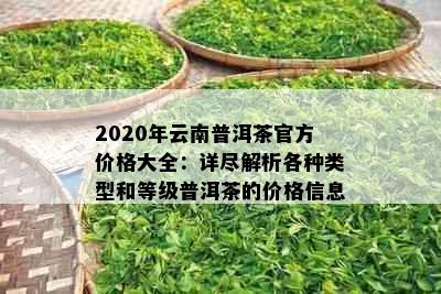 2020年云南普洱茶官方价格大全：详尽解析各种类型和等级普洱茶的价格信息