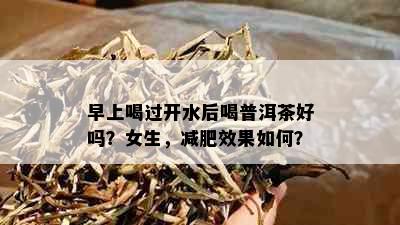 早上喝过开水后喝普洱茶好吗？女生，减肥效果如何？