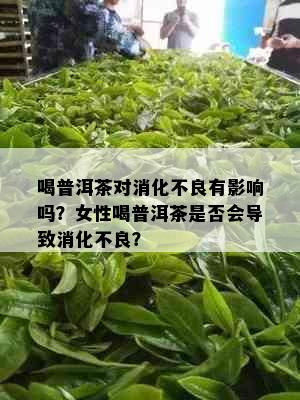 喝普洱茶对消化不良有影响吗？女性喝普洱茶是否会导致消化不良？