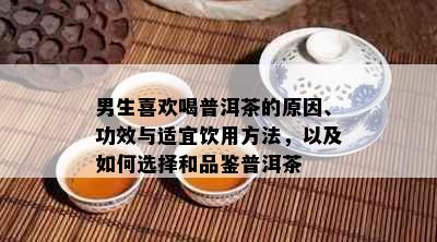 男生喜欢喝普洱茶的原因、功效与适宜饮用方法，以及如何选择和品鉴普洱茶