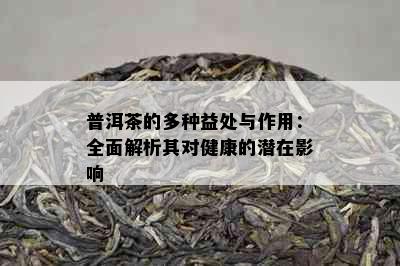 普洱茶的多种益处与作用：全面解析其对健康的潜在影响