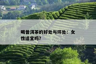 喝普洱茶的好处与坏处：女性适宜吗？