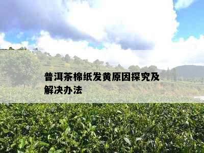 普洱茶棉纸发黄原因探究及解决办法