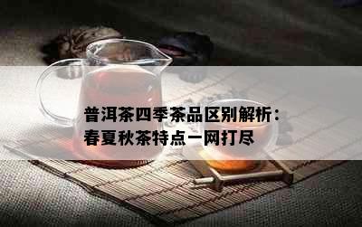 普洱茶四季茶品区别解析：春夏秋茶特点一网打尽