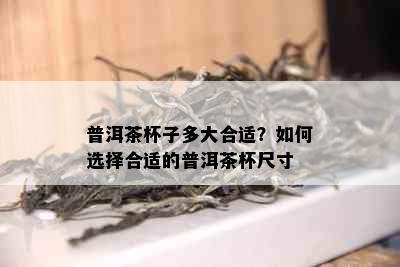 普洱茶杯子多大合适？如何选择合适的普洱茶杯尺寸