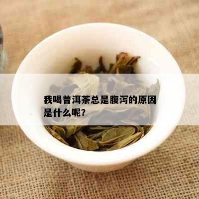 我喝普洱茶总是腹泻的原因是什么呢？