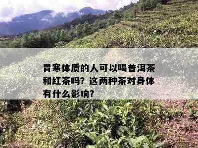 胃寒体质的人可以喝普洱茶和红茶吗？这两种茶对身体有什么影响？