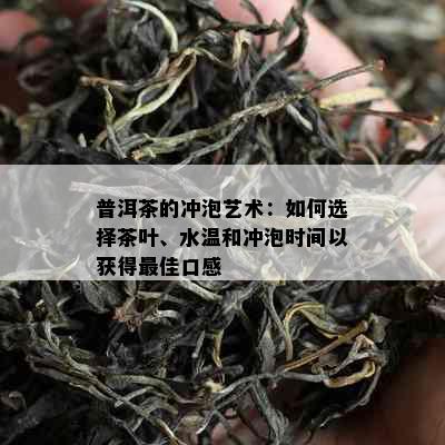 普洱茶的冲泡艺术：如何选择茶叶、水温和冲泡时间以获得更佳口感