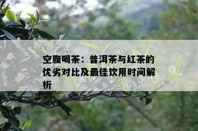 空腹喝茶：普洱茶与红茶的优劣对比及更佳饮用时间解析