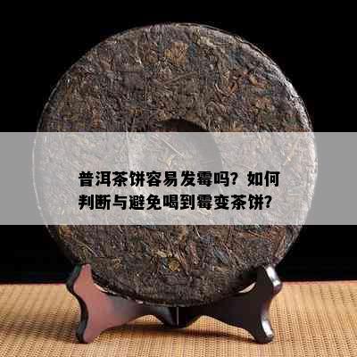 普洱茶饼容易发霉吗？如何判断与避免喝到霉变茶饼？