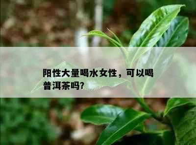 阳性大量喝水女性，可以喝普洱茶吗？