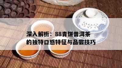 深入解析：88青饼普洱茶的独特口感特征与品尝技巧