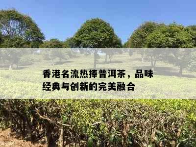 名流热捧普洱茶，品味经典与创新的完美融合