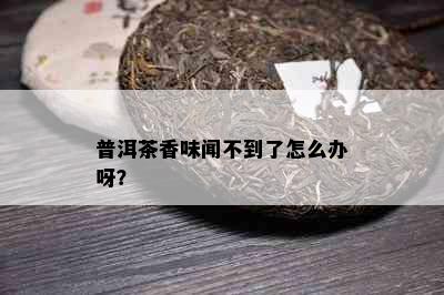 普洱茶香味闻不到了怎么办呀？