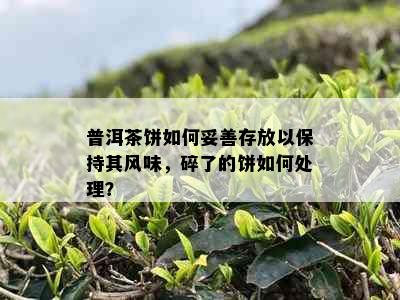 普洱茶饼如何妥善存放以保持其风味，碎了的饼如何处理？