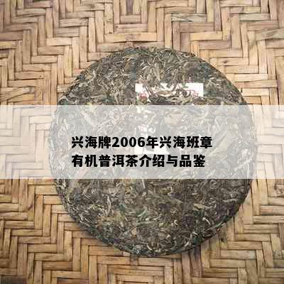 兴海牌2006年兴海班章有机普洱茶介绍与品鉴