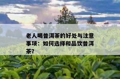 老人喝普洱茶的好处与注意事项：如何选择和品饮普洱茶？