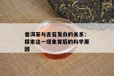 普洱茶与舌苔发白的关系：探索这一现象背后的科学原因